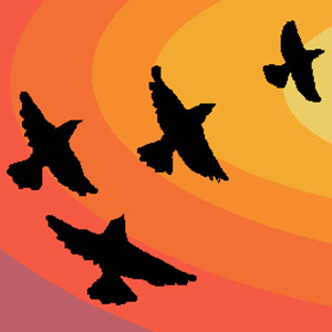 Flock Flock